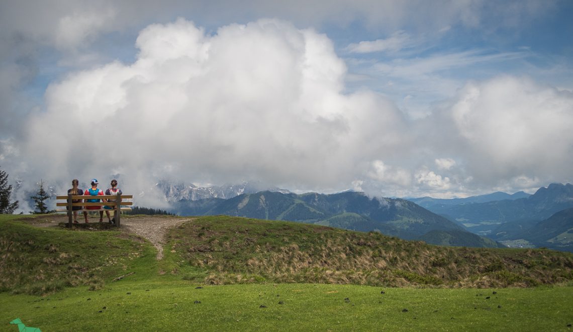 Hochgründeck (1827m) – einer der höchsten bewaldeten Berge Europas