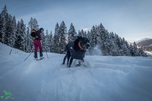 Schneegestöber am Schilcheck.