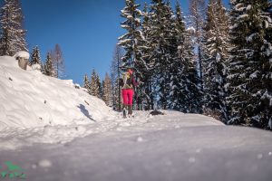 Wanderweg zur Prechtlhütte.