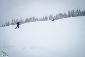 Auf dem Weg zum Penkkopf