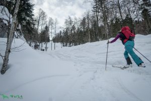 Wieselstein: Aufstieg