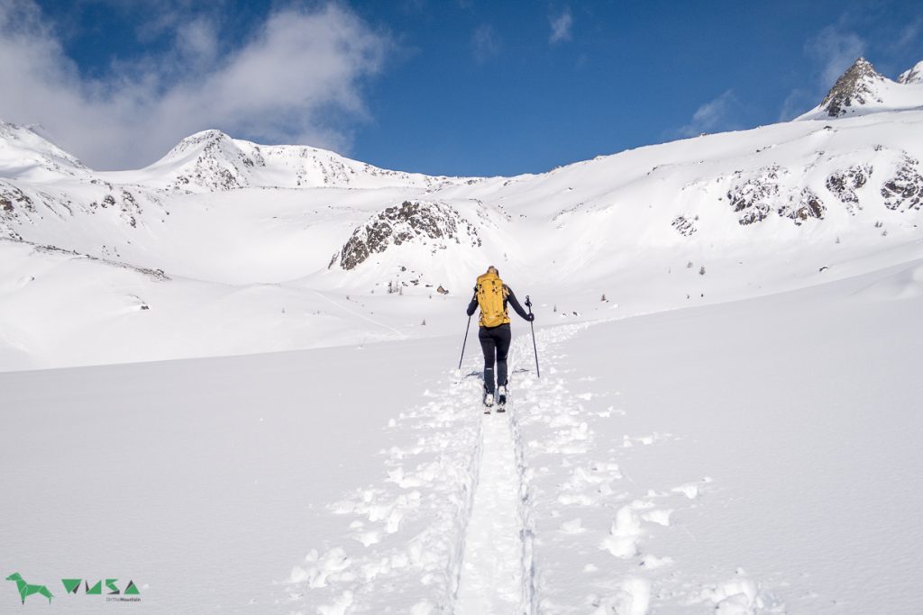 In Richtung Hundskehljoch.