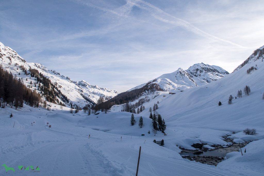 In der Morgensonne im Tauferer Ahrntal