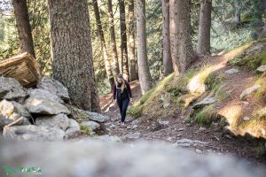 So ruhig im Wald auf dem Weg zum Preber.