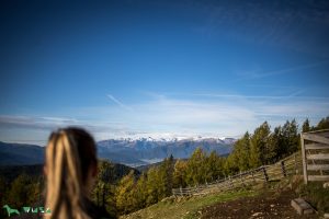 Ausblick in den Lungau.