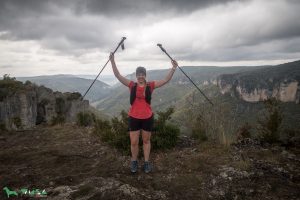 Millau kann man schon sehen.