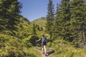Auf dem Weg zum Kalkbretterkopf
