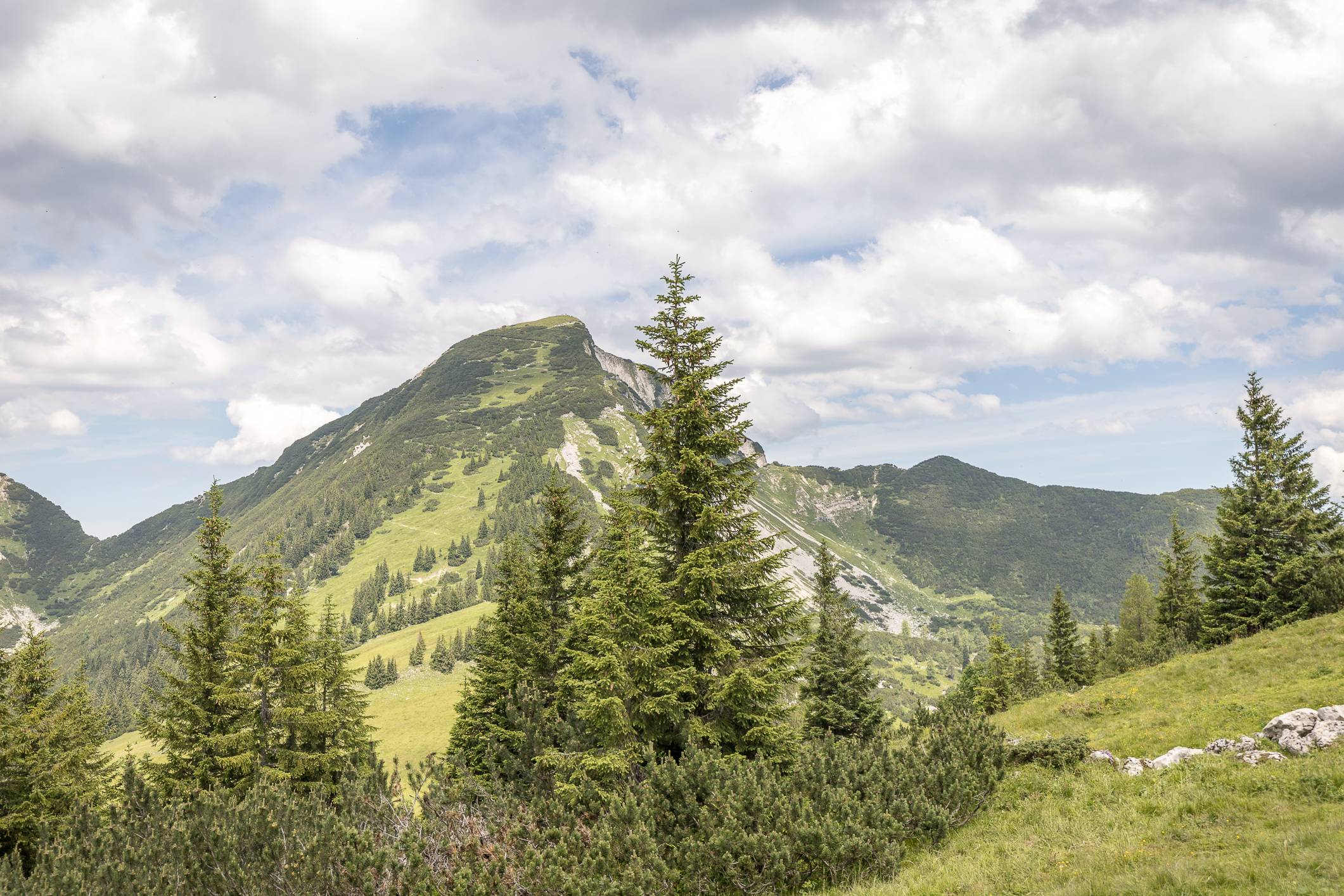 Rückblick zum Sonntagshorn